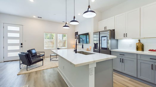 Houston 2-story, 3-bed 316 Neyland Street-idx