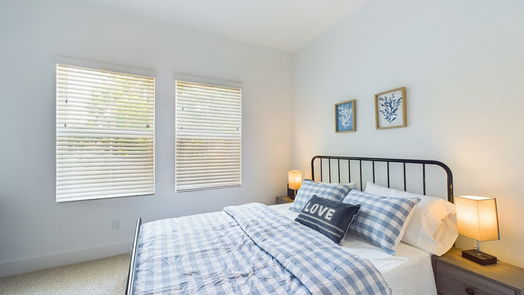 Houston 2-story, 3-bed 316 Neyland Street-idx