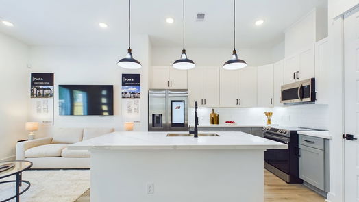 Houston 2-story, 3-bed 316 Neyland Street-idx
