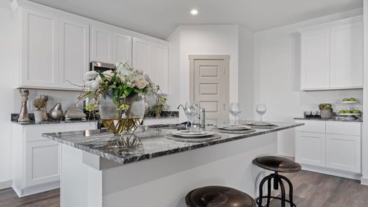 Alvin 1-story, 4-bed 1035 Great Barracuda Lane-idx