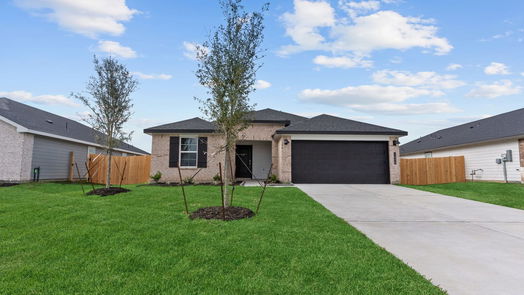 Alvin 1-story, 3-bed 1008 River Coral Lane-idx