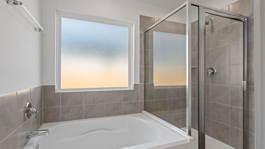 Alvin 1-story, 3-bed 1008 River Coral Lane-idx