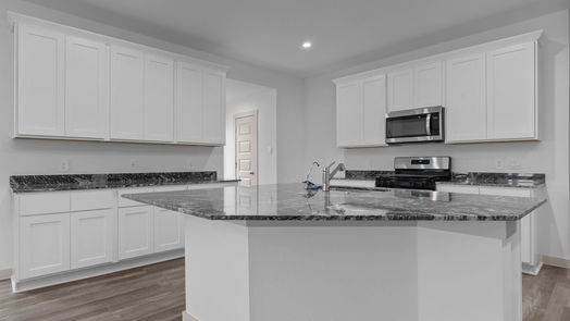 Alvin 1-story, 4-bed 1725 Lilypad Drive-idx