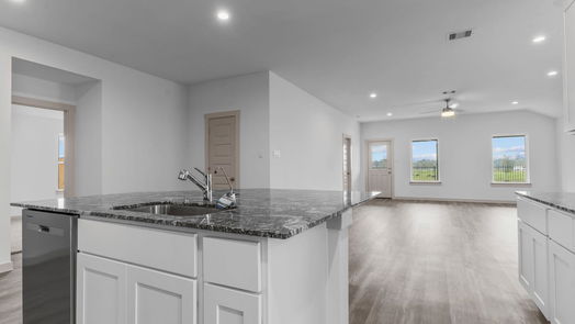 Alvin 1-story, 4-bed 1725 Lilypad Drive-idx