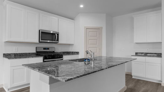 Alvin 1-story, 4-bed 1726 Lily Pad Drive-idx