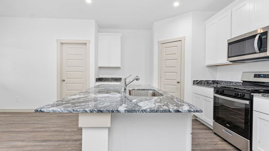 Alvin 1-story, 3-bed 1722 Lilypad Drive-idx