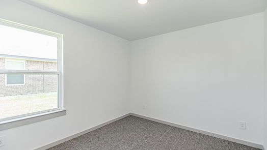 Baytown 1-story, 4-bed 9935 Palm Royal Drive-idx