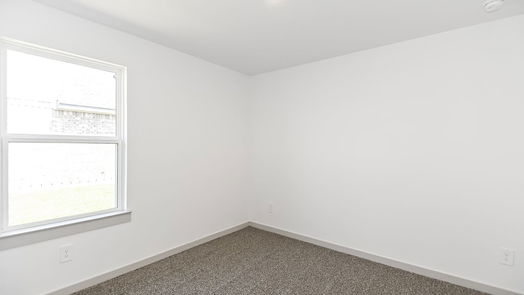 Baytown 1-story, 4-bed 10007 Palm Royal Drive-idx