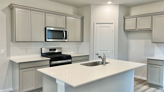 College Station 1-story, 3-bed 925 Coffee Mill Lane-idx