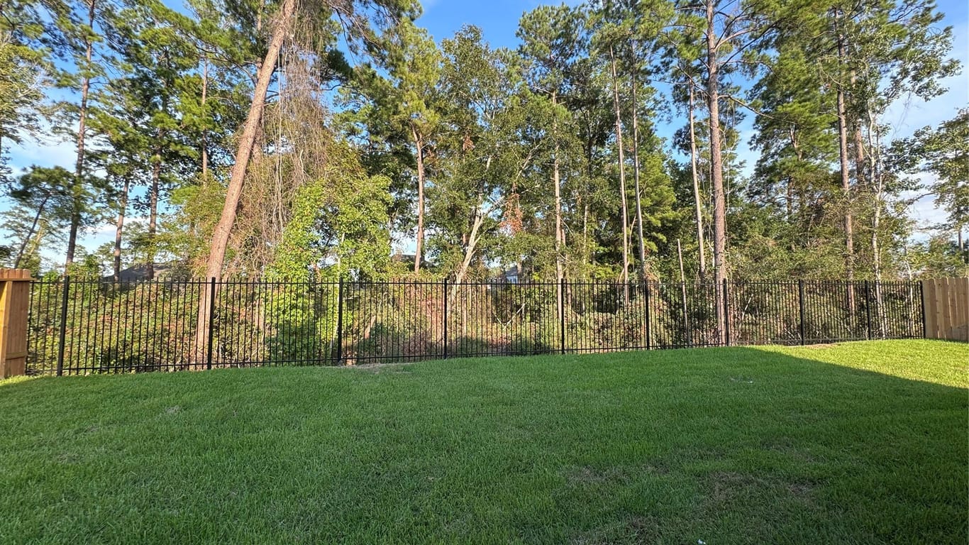 Conroe 2-story, 4-bed 14118 Savage River Court-idx