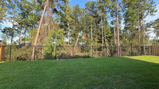 Conroe 2-story, 4-bed 14118 Savage River Court-idx