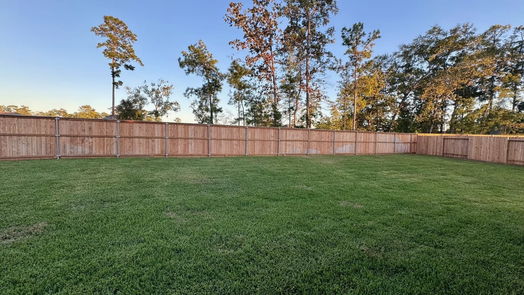 Conroe 2-story, 4-bed 14106 Savage River Court-idx