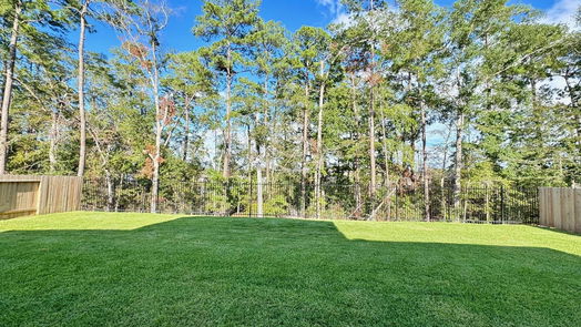 Conroe 2-story, 4-bed 13658 Balanced Rock Drive-idx