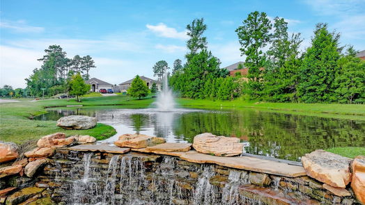 Conroe 1-story, 4-bed 12123 Bee Bush-idx