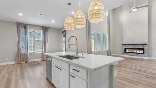 Conroe 2-story, 4-bed 14229 Castolon Court-idx