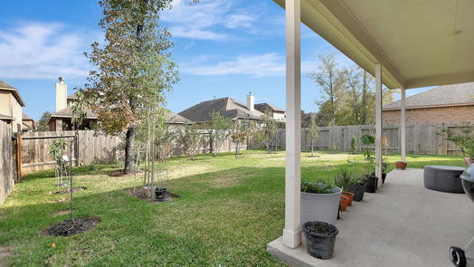 Conroe 2-story, 5-bed 159 Meadow Grove Drive-idx