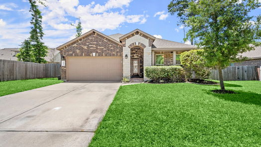 Conroe 1-story, 3-bed 14011 White Cloud Lane-idx