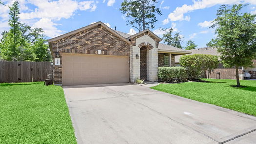 Conroe 1-story, 3-bed 14011 White Cloud Lane-idx