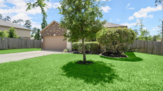 Conroe 1-story, 3-bed 14011 White Cloud Lane-idx