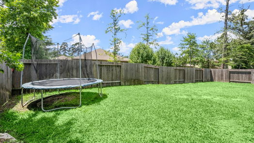 Conroe 1-story, 3-bed 14011 White Cloud Lane-idx