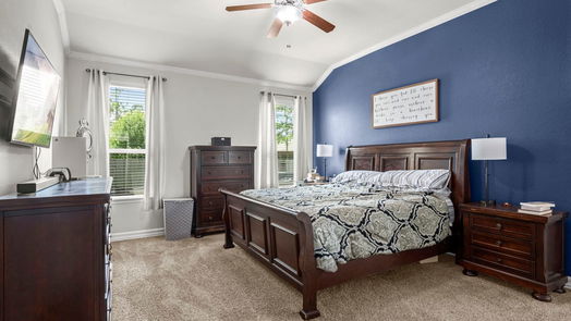 Conroe 1-story, 3-bed 14011 White Cloud Lane-idx