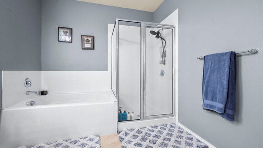 Conroe 1-story, 3-bed 14011 White Cloud Lane-idx