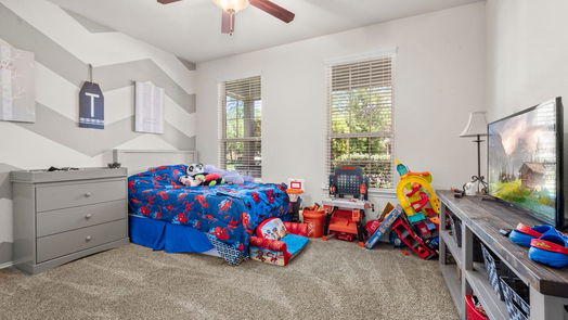 Conroe 1-story, 3-bed 14011 White Cloud Lane-idx