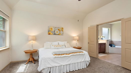 Conroe 1-story, 4-bed 1003 Forest Haven Court-idx