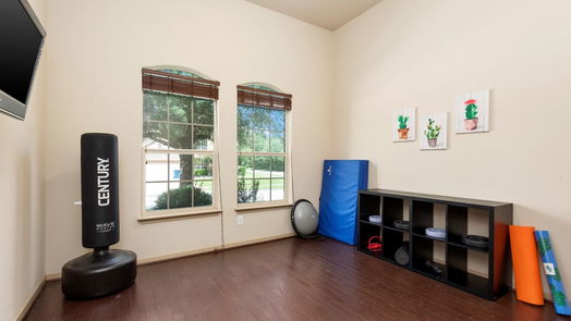 Conroe 1-story, 4-bed 1003 Forest Haven Court-idx