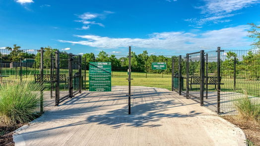 Conroe 1-story, 4-bed 1003 Forest Haven Court-idx
