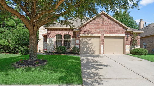 Conroe 1-story, 4-bed 1003 Forest Haven Court-idx