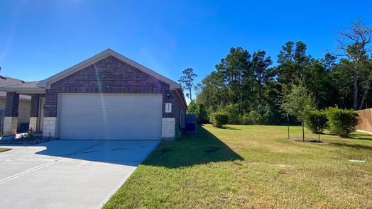 Conroe 1-story, 3-bed 14206 W Pine Heart Drive-idx