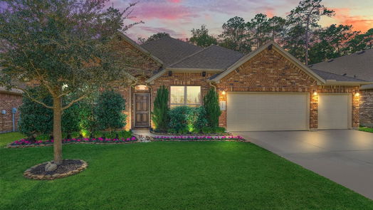 Conroe null-story, 4-bed 14521 Diamond Park Lane-idx