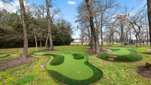 Conroe 2-story, 4-bed 1507 Holly Chase Court-idx