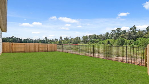 Conroe 1-story, 4-bed 303 Springfield Terrace Drive-idx