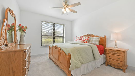 Friendswood null-story, 4-bed 2542 Austin Trail-idx