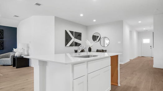 Fulshear 1-story, 4-bed 30723 Skye Villa Lane-idx
