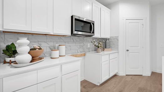 Fulshear 1-story, 4-bed 30723 Skye Villa Lane-idx