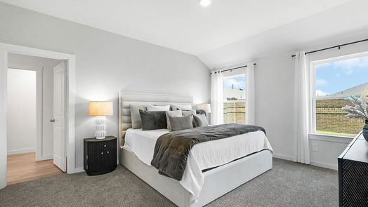 Fulshear 1-story, 4-bed 30723 Skye Villa Lane-idx