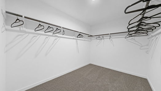 Fulshear 1-story, 4-bed 30723 Skye Villa Lane-idx