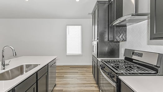 Houston 2-story, 4-bed 3022 Skyline Messa Drive-idx