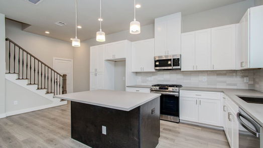Houston 2-story, 3-bed 316 Charlock Street-idx
