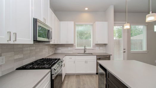 Houston 2-story, 3-bed 316 Charlock Street-idx