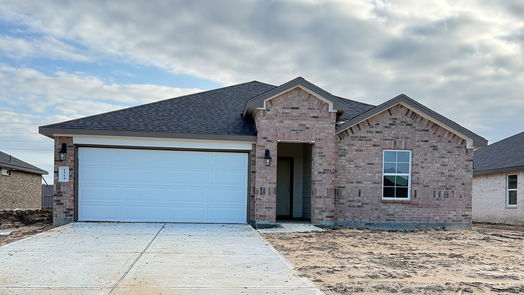 Iowa Colony 1-story, 4-bed 1314 Palm Tree Lane-idx