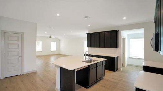 Katy 1-story, 4-bed 3819 Pierce Place Lane-idx