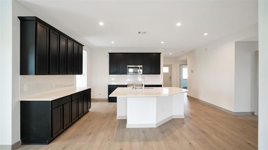 Katy 1-story, 4-bed 3819 Pierce Place Lane-idx