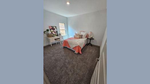 League City 1-story, 4-bed 6204 Red Oak Court-idx