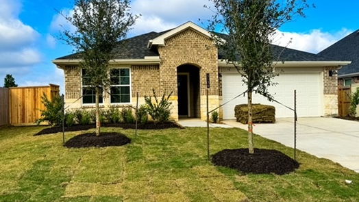 League City null-story, 4-bed 3136 Wickfield Pass-idx