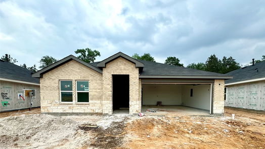 New Caney null-story, 4-bed 18599 Bernoulli Drive-idx