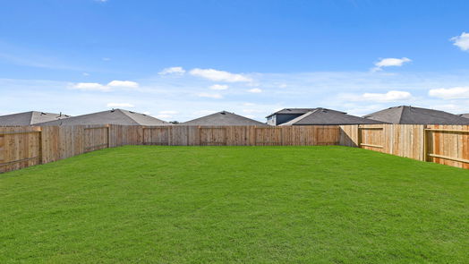 New Caney 1-story, 3-bed 14996 Timber Pines Drive-idx